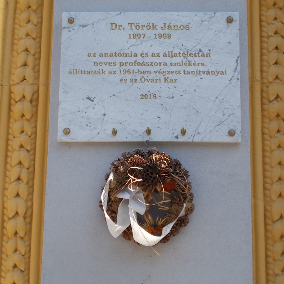 Török János