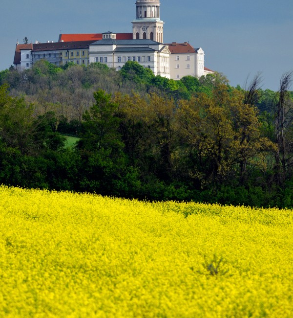 Pannonhalma, Bencés Főapátság