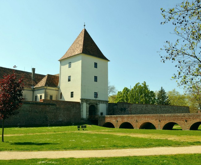 Sárvári vár