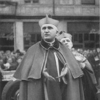 Tóth Tihamér