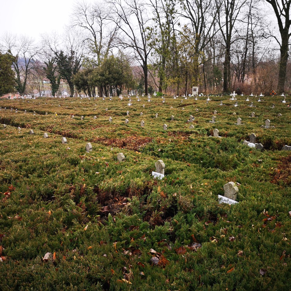 A pannonhalmi szociális otthonban elhunyt szerzetesek sírkertje